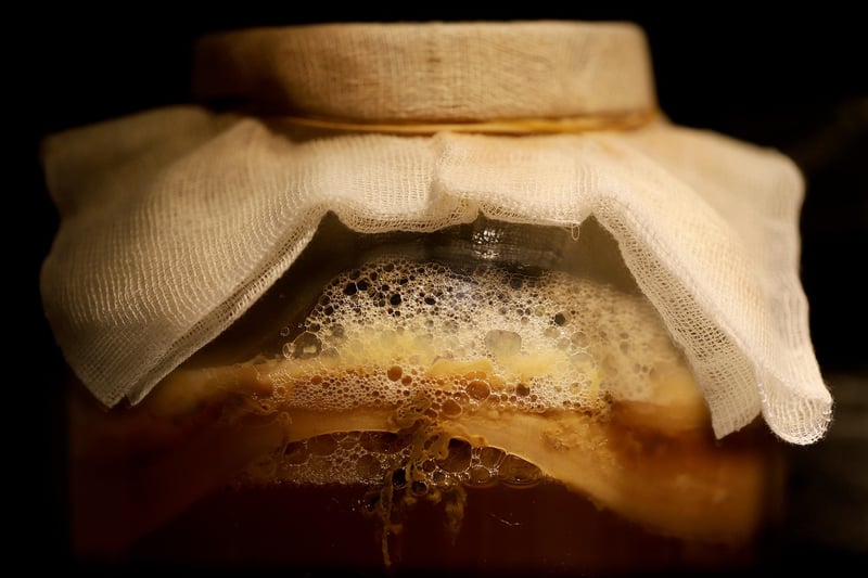 Fermentation Skills